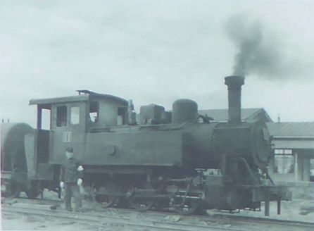 29