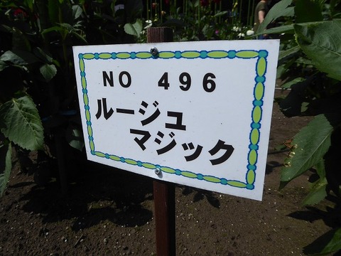 9.4