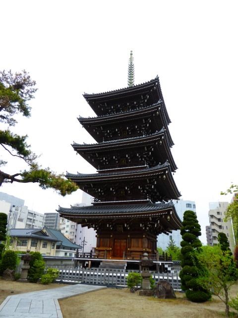 イメージ 43