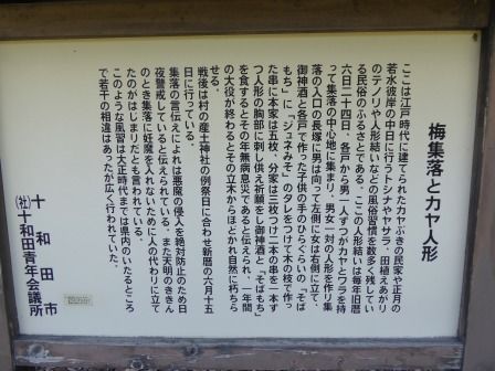 イメージ 5