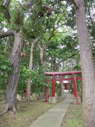 イメージ 31