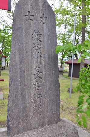 イメージ 14
