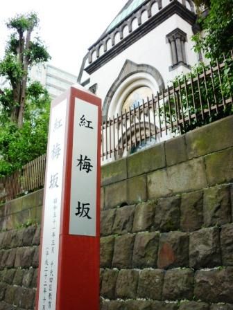 イメージ 7