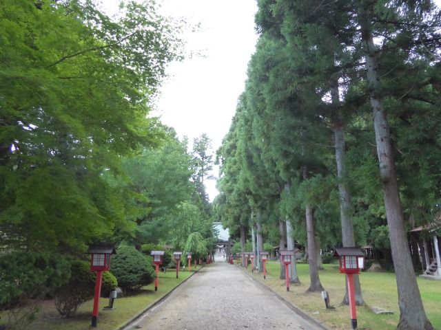 イメージ 17