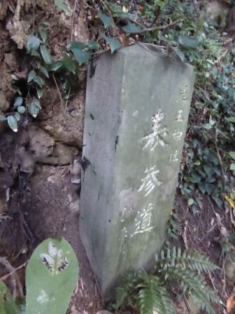 イメージ 11