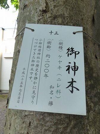 イメージ 23