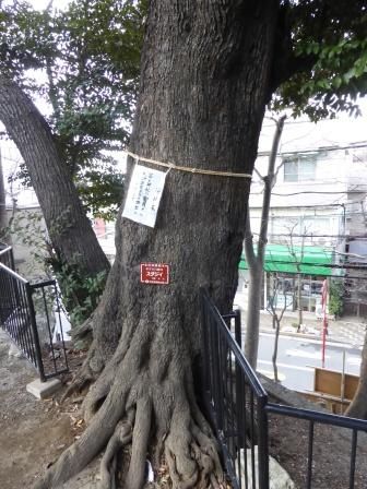 イメージ 6