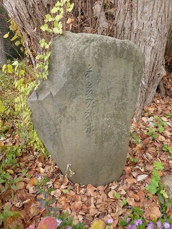 イメージ 16