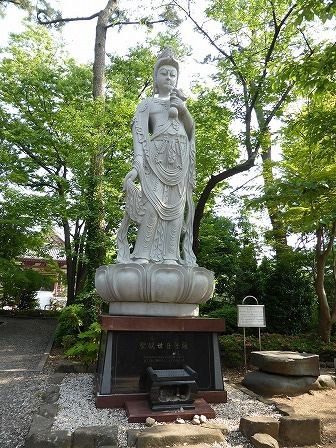 イメージ 15