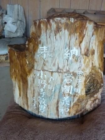 イメージ 13