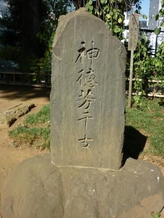 イメージ 14