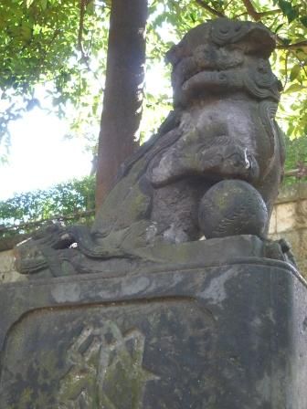 イメージ 24