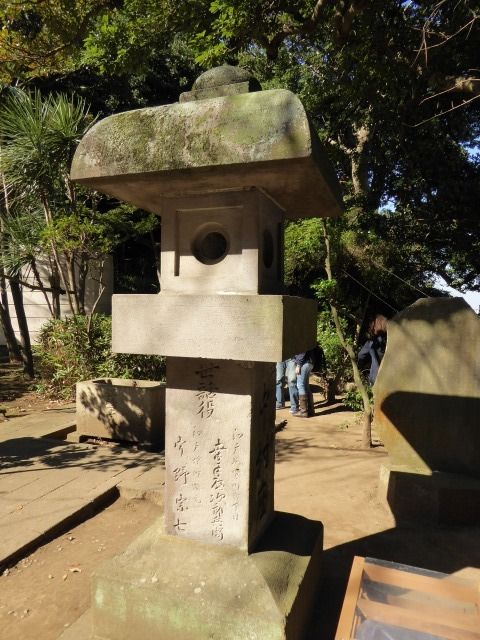 イメージ 7