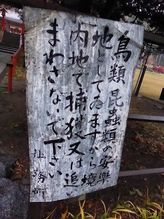 イメージ 24