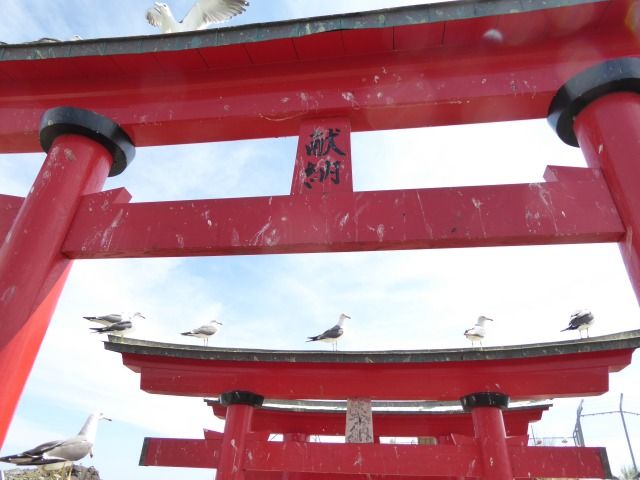 イメージ 12