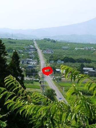 イメージ 17