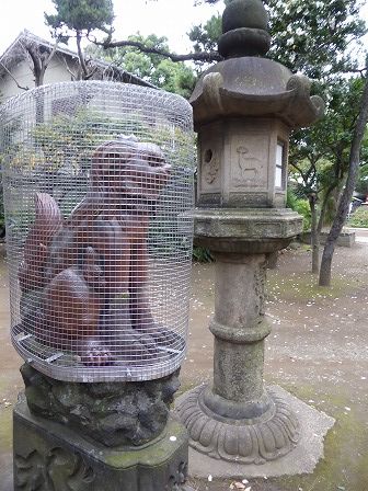イメージ 17