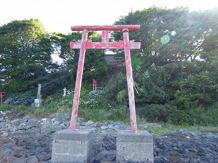 イメージ 5