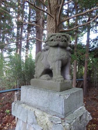 イメージ 38