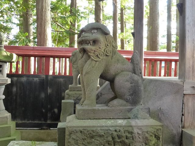イメージ 16