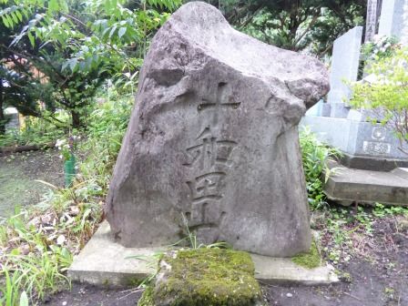 イメージ 21