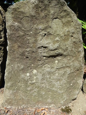 39