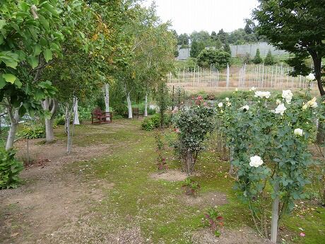 9.2