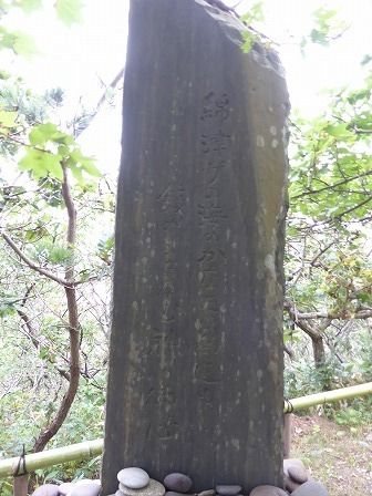 イメージ 44