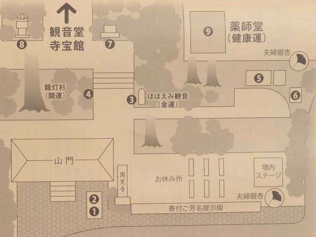 イメージ 15