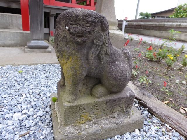 イメージ 7