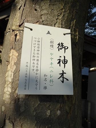 イメージ 6