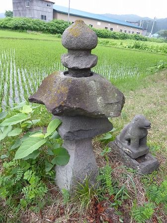 イメージ 8