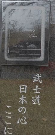 イメージ 12