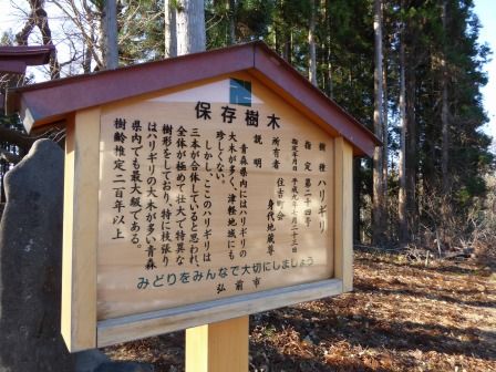 イメージ 16