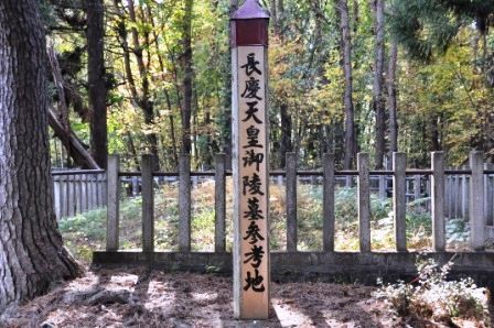イメージ 9