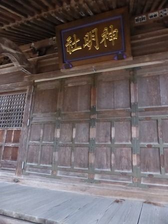イメージ 16