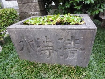 イメージ 40