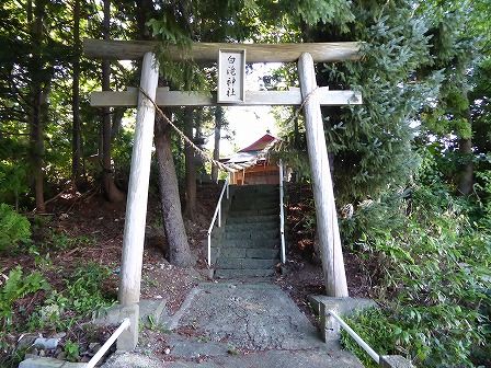 イメージ 11