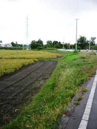 イメージ 41