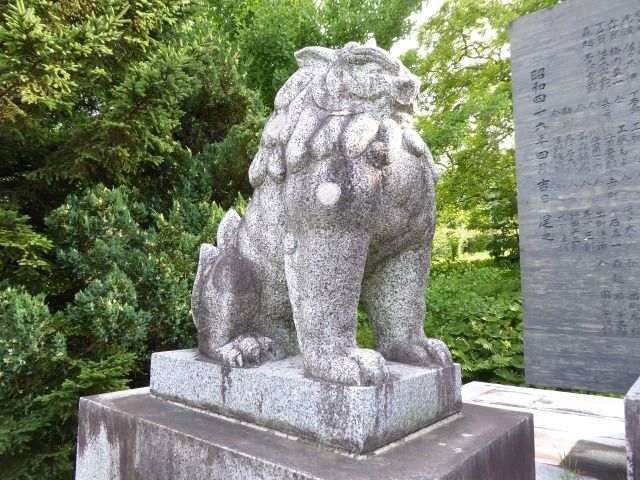 イメージ 30