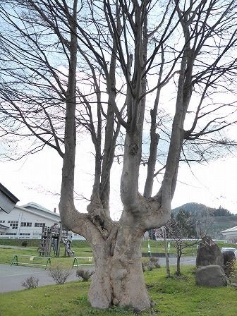 イメージ 9