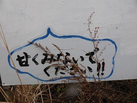 イメージ 82