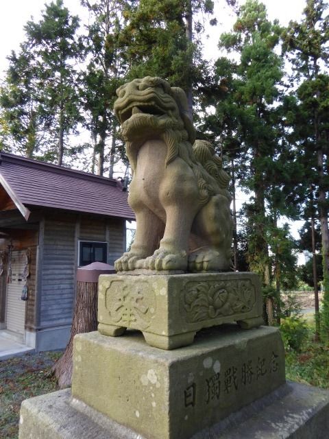 イメージ 27
