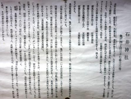 イメージ 14