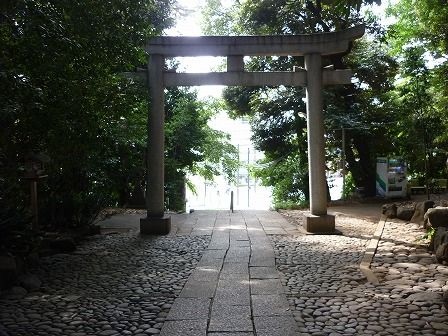 イメージ 3