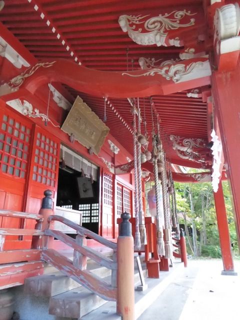 イメージ 9