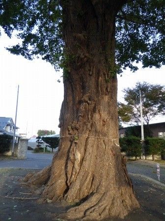 イメージ 57