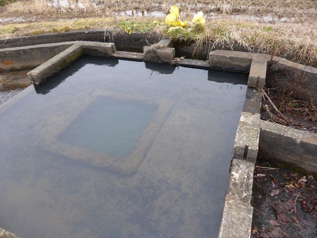 イメージ 6