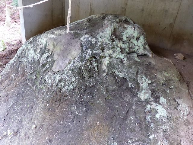 イメージ 18