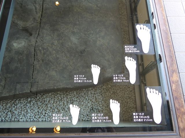 イメージ 56